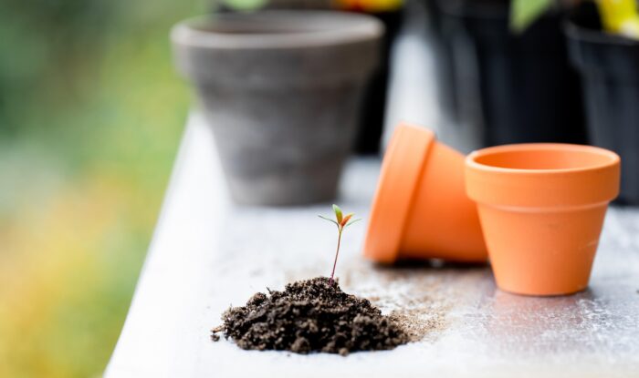 Was ist ein Smart Garden? Moderne Selbstversorgung im Überblick